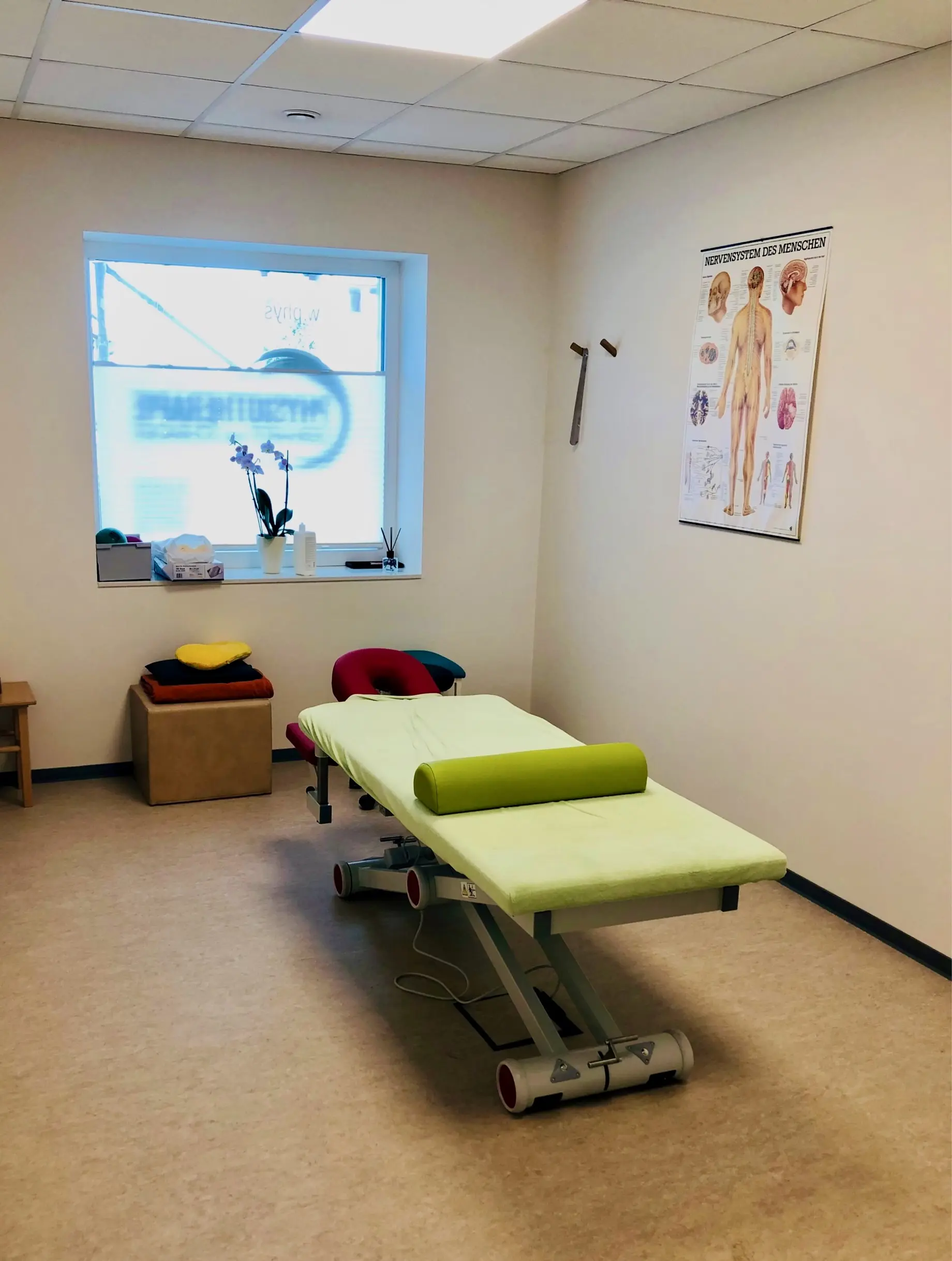 Behandlungsraum mit höhenverstellbarer Therapieliege, Anatomie-Poster zum Nervensystem und Orchidee auf der Fensterbank